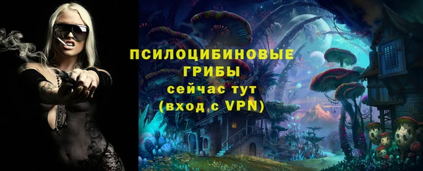 2c-b Алексин