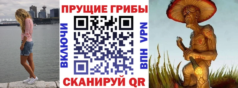 закладка  Шуя  Галлюциногенные грибы мухоморы 