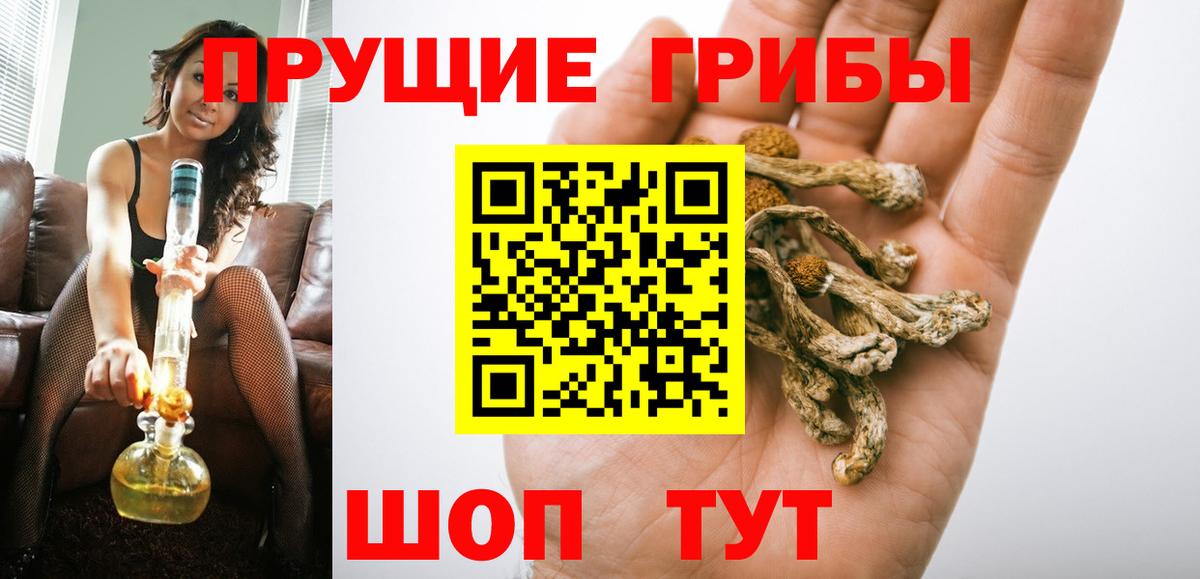 Псилоцибиновые грибы Cubensis  Вход с VPN  Шуя 