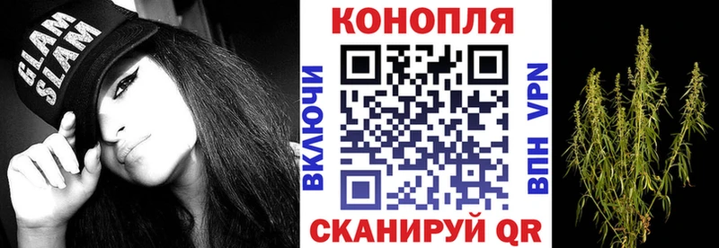 Каннабис OG Kush  Шуя 